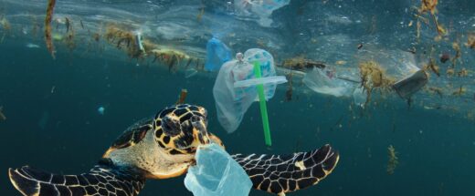 A sea turtle swimming with plastic packaging waste nearby