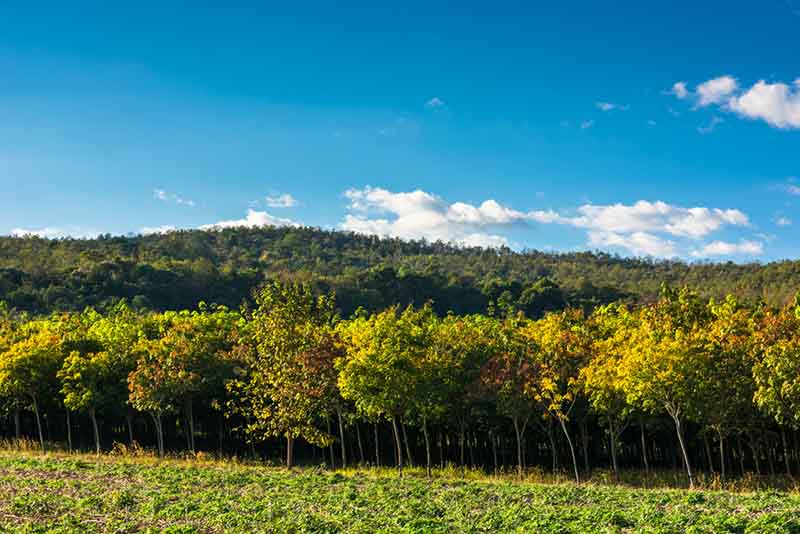 PACK EXPO E-Team and Professor Packaging